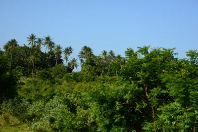 DSC_8496 (Large).JPG